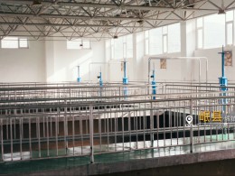 全員拼搏齊奮進，攻堅克難勇爭先